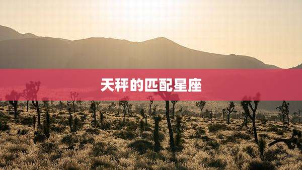 天秤的匹配星座