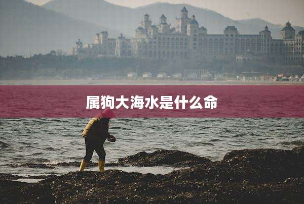 属狗大海水是什么命