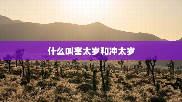 什么叫害太岁和冲太岁