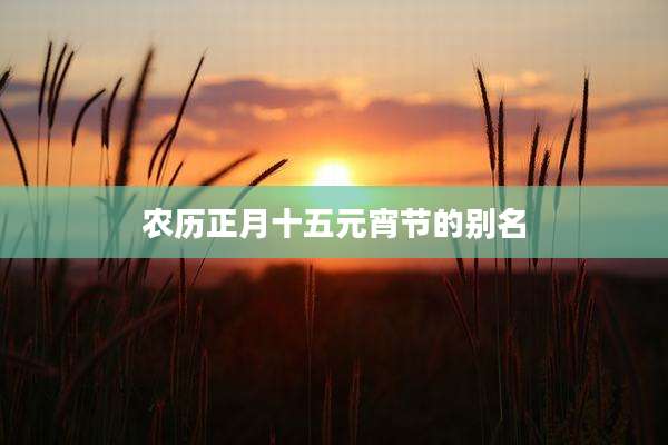 农历正月十五元宵节的别名