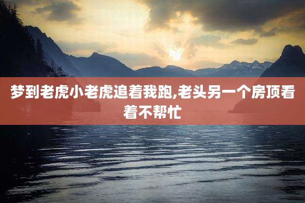 梦到老虎小老虎追着我跑,老头另一个房顶看着不帮忙