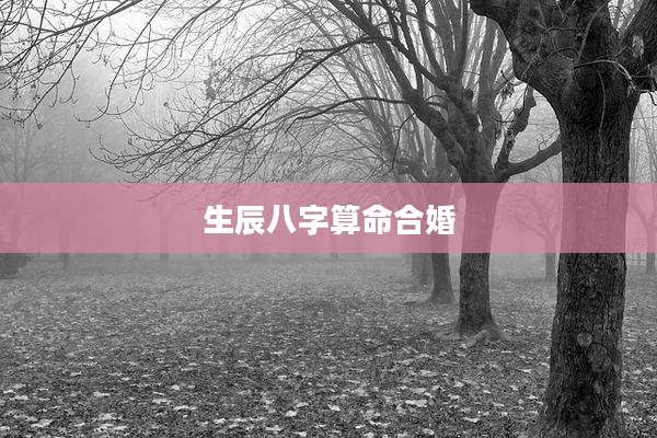 生辰八字算命合婚