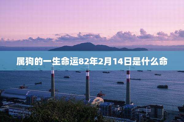 属狗的一生命运82年2月14日是什么命