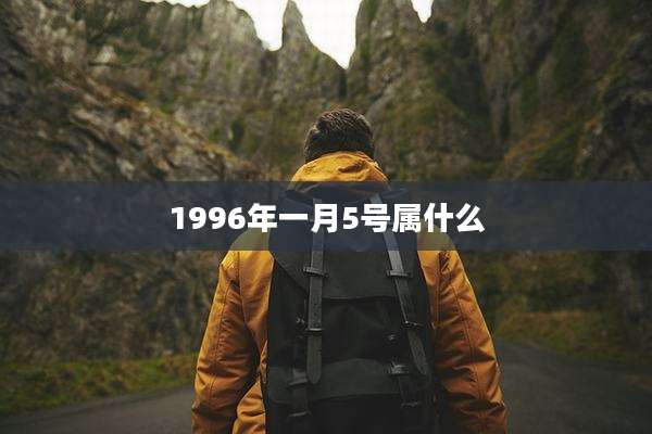 1996年一月5号属什么