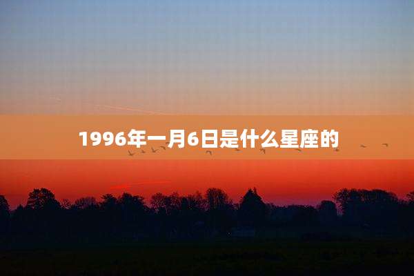 1996年一月6日是什么星座的