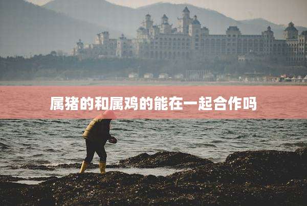属猪的和属鸡的能在一起合作吗