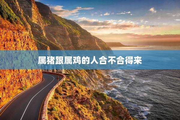 属猪跟属鸡的人合不合得来
