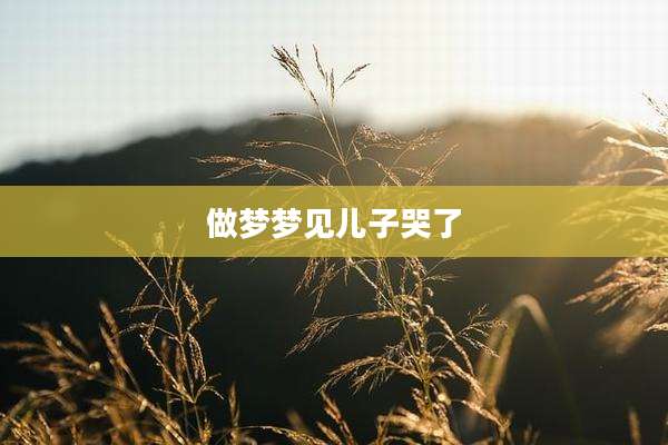 做梦梦见儿子哭了