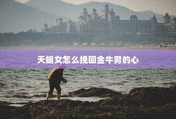 天蝎女怎么挽回金牛男的心