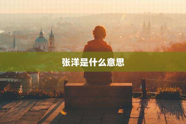张洋是什么意思