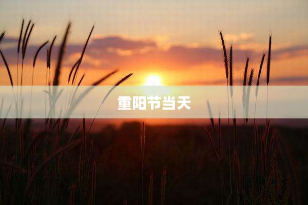 重阳节当天