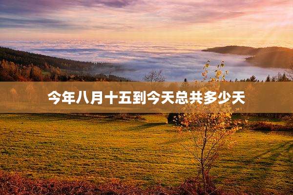 今年八月十五到今天总共多少天