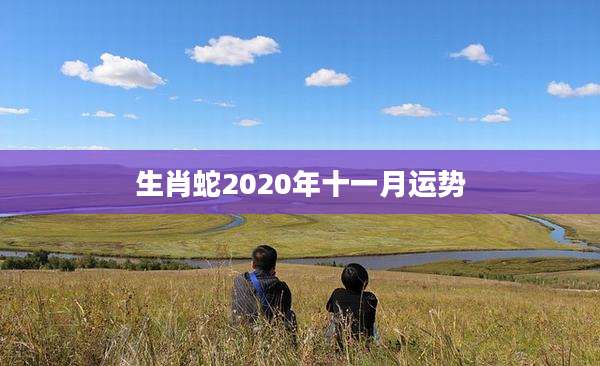 生肖蛇2020年十一月运势