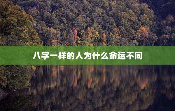 八字一样的人为什么命运不同
