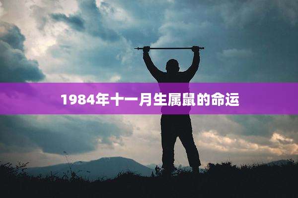 1984年十一月生属鼠的命运