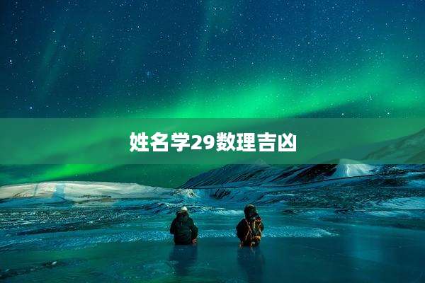 姓名学29数理吉凶