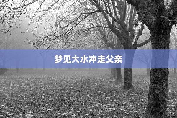 梦见大水冲走父亲