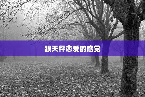跟天秤恋爱的感觉