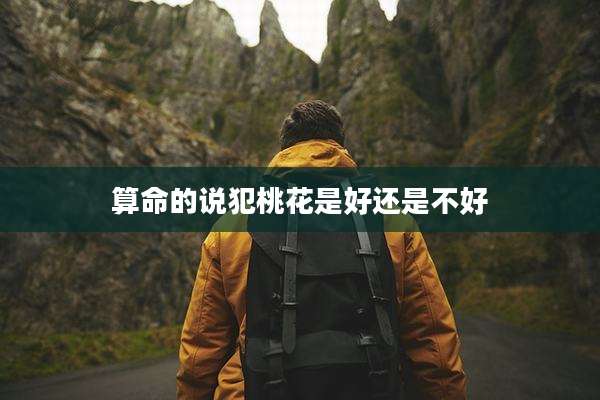 算命的说犯桃花是好还是不好