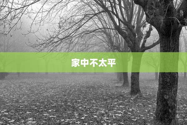家中不太平