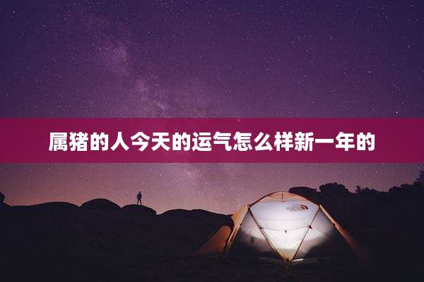 属猪的人今天的运气怎么样新一年的