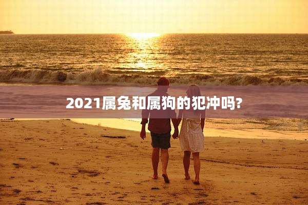 2021属兔和属狗的犯冲吗?