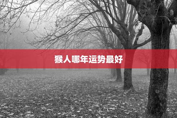 猴人哪年运势最好