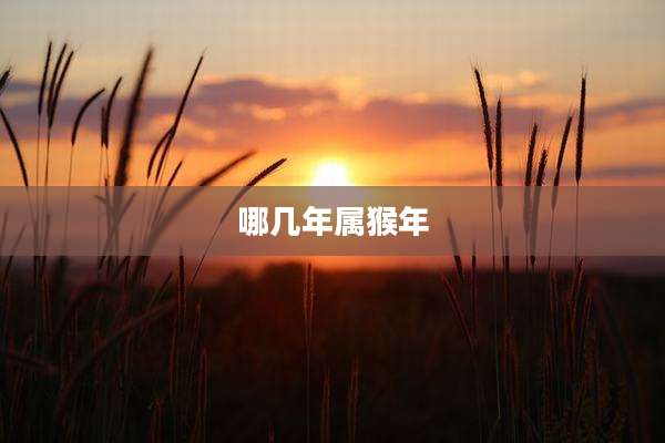 哪几年属猴年
