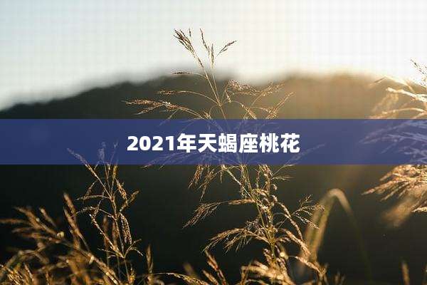 2021年天蝎座桃花
