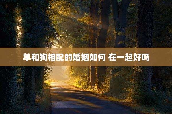 羊和狗相配的婚姻如何 在一起好吗