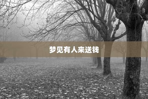 梦见有人来送钱