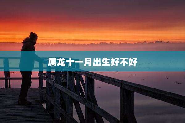 属龙十一月出生好不好