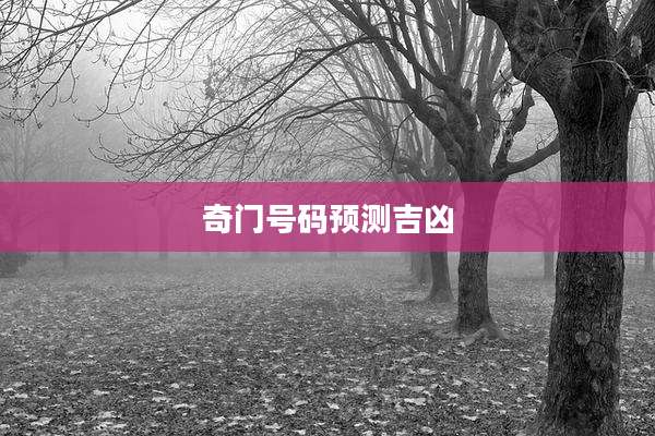 奇门号码预测吉凶