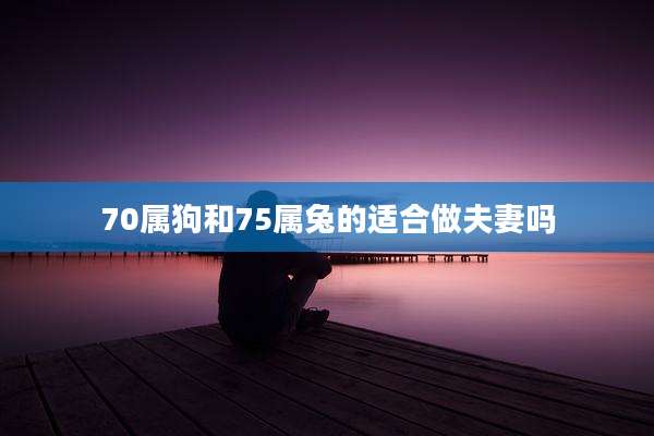 70属狗和75属兔的适合做夫妻吗