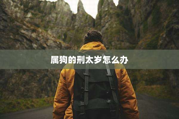 属狗的刑太岁怎么办