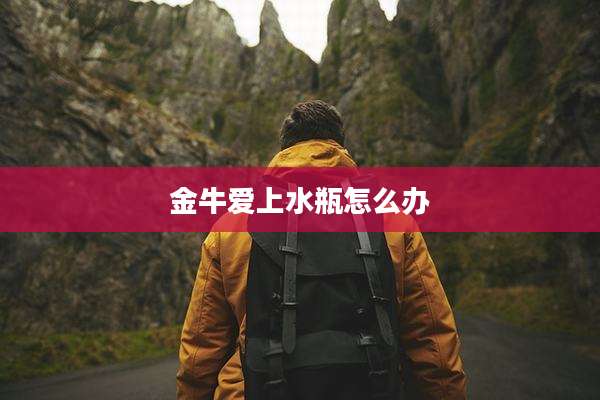 金牛爱上水瓶怎么办