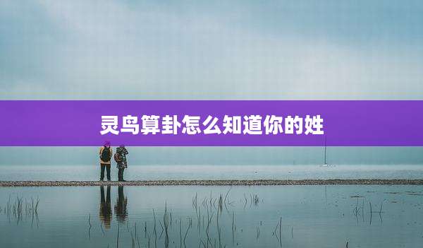 灵鸟算卦怎么知道你的姓