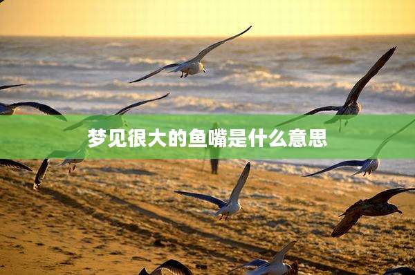 梦见很大的鱼嘴是什么意思