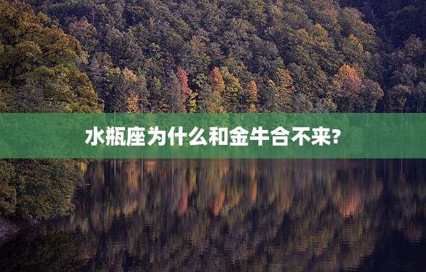 水瓶座为什么和金牛合不来?