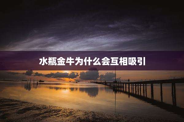 水瓶金牛为什么会互相吸引