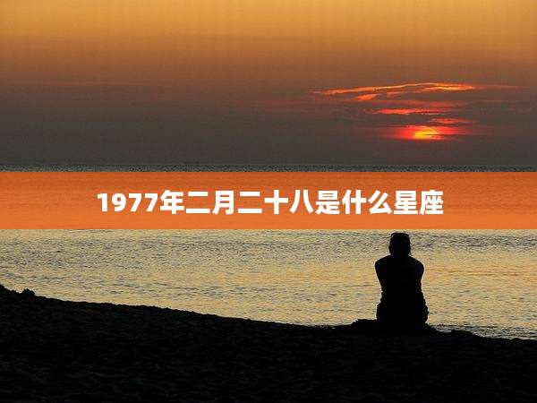 1977年二月二十八是什么星座