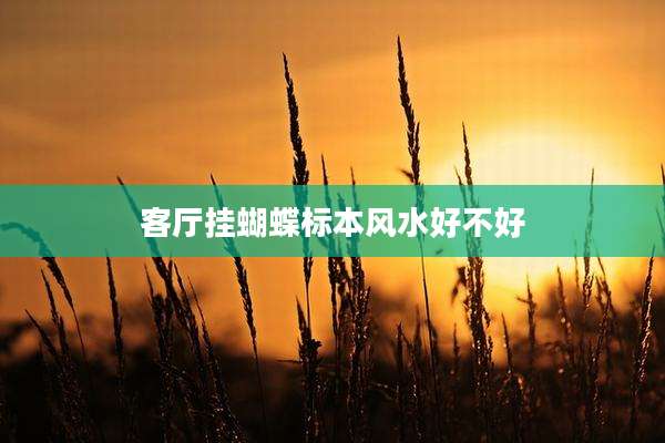 客厅挂蝴蝶标本风水好不好