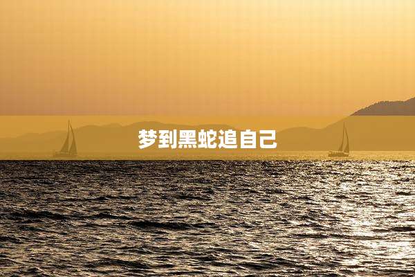 梦到黑蛇追自己