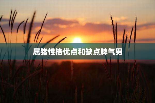 属猪性格优点和缺点脾气男