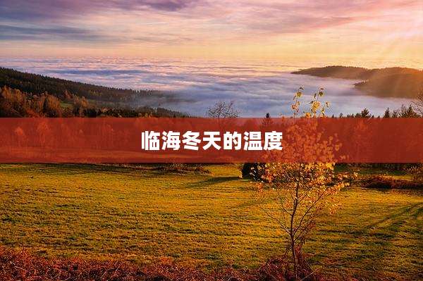 临海冬天的温度