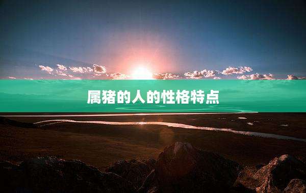 属猪的人的性格特点