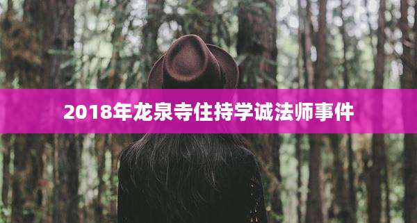 2018年龙泉寺住持学诚法师事件