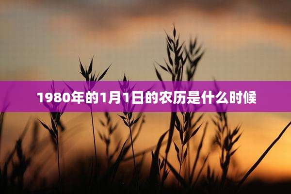 1980年的1月1日的农历是什么时候