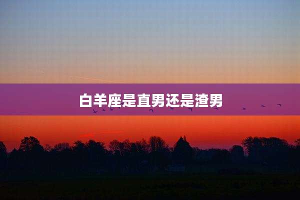 白羊座是直男还是渣男