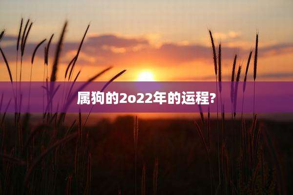 属狗的2o22年的运程?